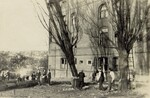 Alexander Hall trees being cut down by Seattle Pacific University